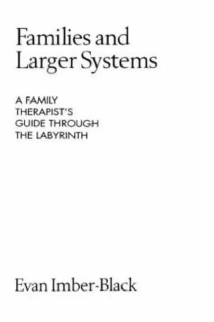 Families and Larger Systems: A Family Therapist's Guide Through the Labyrinth by Evan Imber-Black