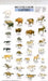 Mac's Field Guides: North American Land Mammals by Craig Macgowan