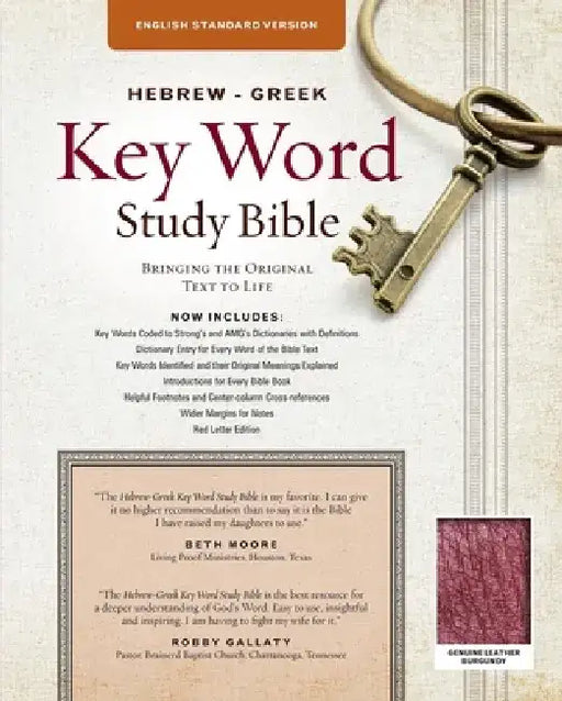 Hebrew-Greek Key Word Study Bible-ESV: Key Insights Into God's Word by Spiros Zodhiates
