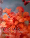 Portals: The Colours of Our Longing by Suzi Morris, Celeste Snowber