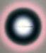 Light & Darkness: Late Modernism and the Jw Power Collection by Ann Stephen