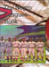The Negro Leagues Book: Limited Edition by Dick Clark, Larry Lester