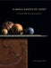 Small Radius Light: G. DANIEL MASSAD, HB: G. Daniel Massad, A Retrospective by Joyce Henri Robinson, G. Daniel Massad