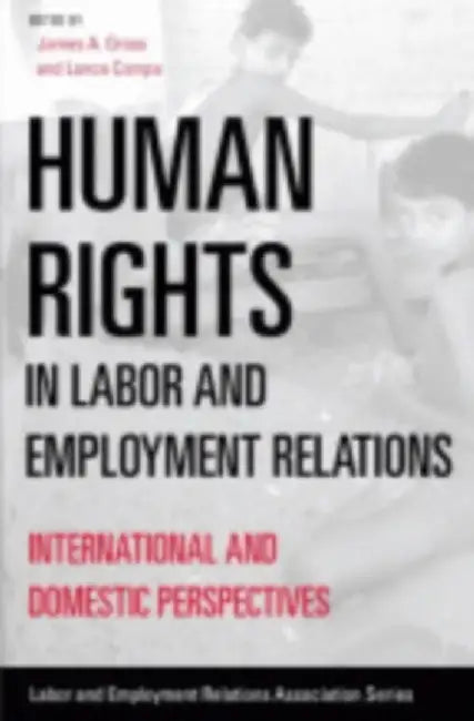 Human Rights in Labor and Employment Relations: International and Domestic Perspectives by James A. Gross