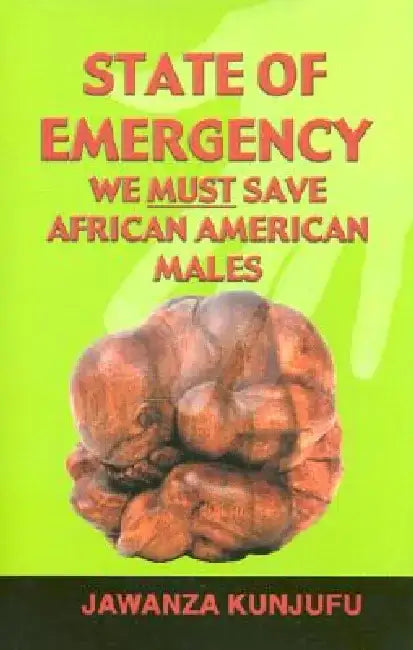 State of Emergency: We Must Save African American Males by Jawanza Kunjufu