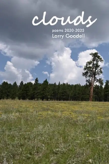 Clouds - poems 2020-2025 by Larry Goodell