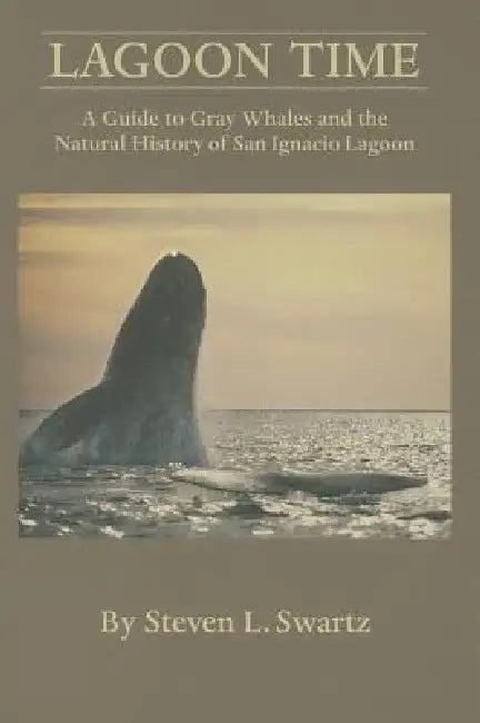 Lagoon Time: A Guide to Grey Whales and the Natural History of San Ignacio Lagoon by Stephen L. Swartz