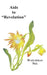 AIDS to Revelation: by Watchman Nee