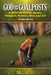 God and the Goalposts: A Brief History of Sports, Religion, Politics, War and Art by Ori Z. Soltes
