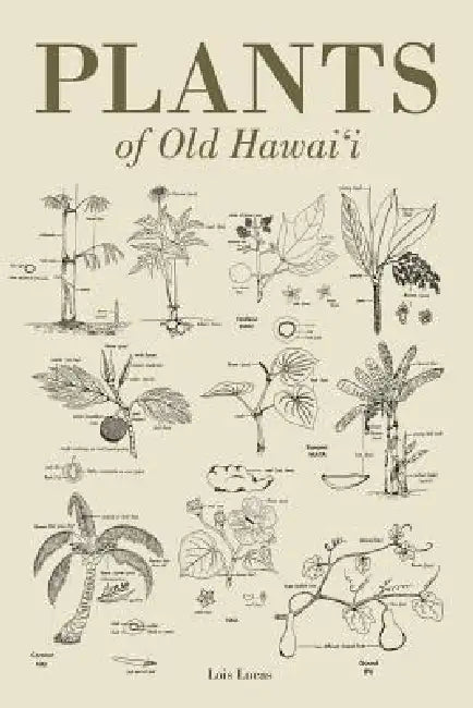 Plants of Old Hawaii by Lois Lucas, Joan Fleming, Julie Williams