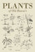 Plants of Old Hawaii by Lois Lucas, Joan Fleming, Julie Williams