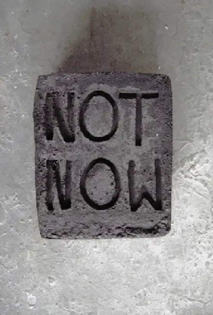 Esther Kläs: Not Now by Esther Kläs