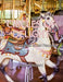 Circles of Delight: Classic Carousels of San Francisco, with Over 100 Photos of the Golden Gate Park Carousel, the Yerba Buena Gardens Carousel, and t by Aaron Shepard, Aaron Shepard