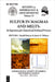 Sulfur in Magmas and Melts:: Its Importance for Natural and Technical Processes by Harald Behrens, James D. Webster