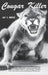 Cougar Killer by Jay C. Bruce