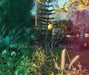 Melanie Schiff: Sun Land by Melanie Schiff