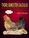 Third Semester Calculus: Student Supplement by Lily Splane