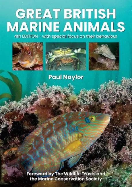 Great British Marine Animals by Paul Naylor