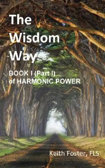 The Wisdom Way - Book 1 (Part 1 of Harmonic Power) by Keith Edward Foster