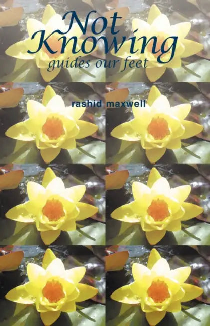 Not Knowing Guides Our Feet by Michael Moorcock