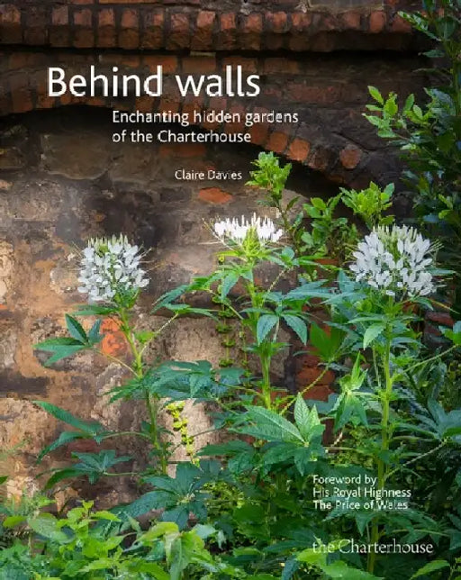 Behind walls by Claire Davies