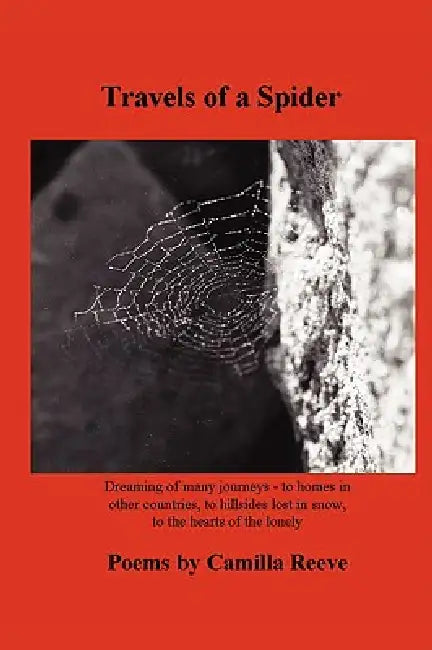 Travels of a Spider by Camilla Reeve