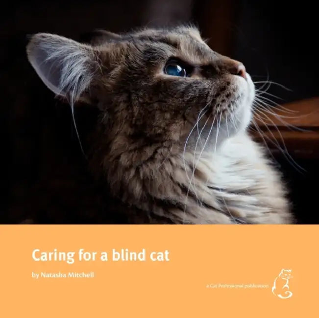 Caring for a blind cat by Natasha Mitchell