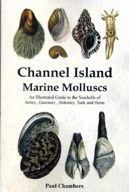 Chambers P Channel Island Marine Molluscs by Paul Martin Chambers