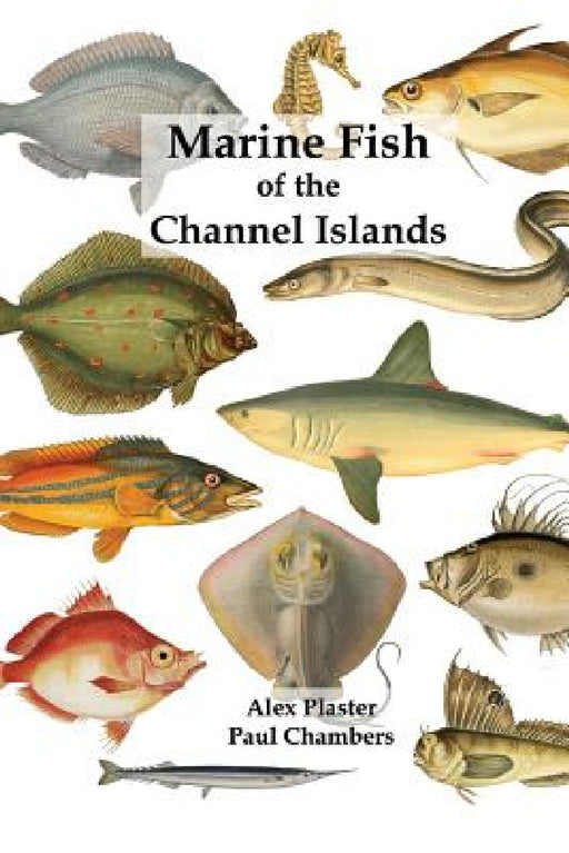 Marine Fish of the Channel Islands by Paul Chambers, Alex Plaster