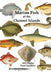 Marine Fish of the Channel Islands by Paul Chambers, Alex Plaster