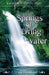 Springs of Living Water: A 31 day devotional by Emilola Shyllon