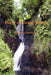 Pools of Living Water by Carolyn Davison