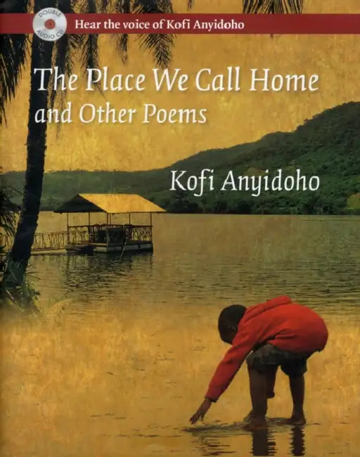 The Place We Call Home and Other Poems by Kofi Anyidoho