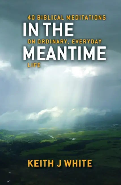 In The Meantime by Keith J. White