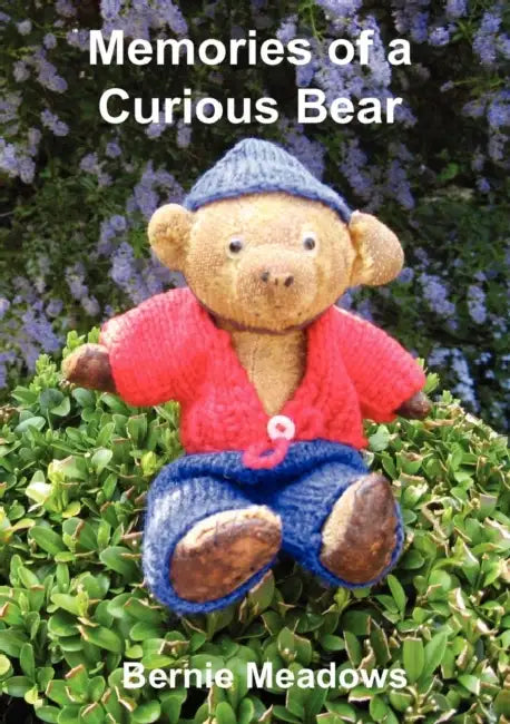 Memories of a Curious Bear by Mike Courtney