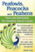 Peafowls, Peacocks and Peahens. Including Facts and Information about Blue, White, Indian and Green Peacocks. Breeding, Owning, Keeping and Raising Pe by Elliott Lang