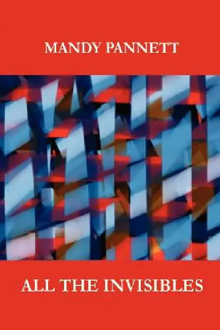 All the Invisibles by Mandy Pannett