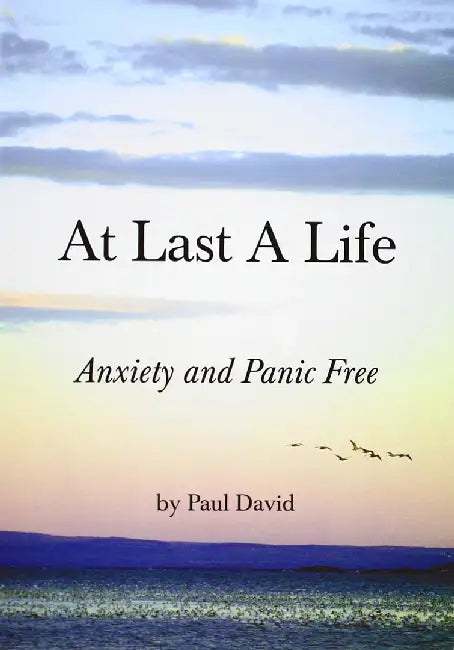 At Last a Life by Paul David