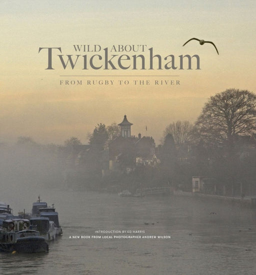 Wild About Twickenham by Andrew Wilson