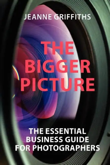 The Bigger Picture by Jeanne E. Griffiths