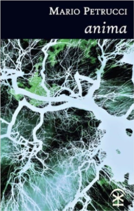 anima by Mario Petrucci