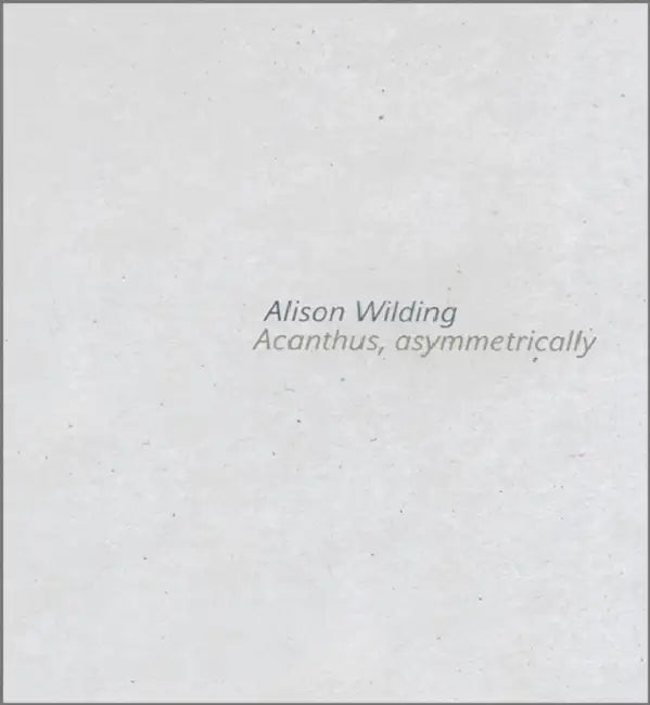 Alison Wilding: Acanthus Asymmetrically by Alison Wilding
