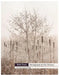 With Trees: Photography by Dav Thomas by Dav Thomas