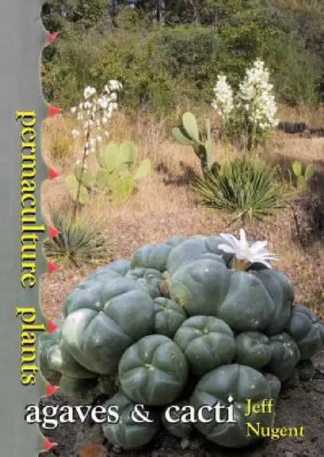 Permaculture Plants: agaves and cacti by Jeff Nugent
