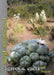 Permaculture Plants: agaves and cacti by Jeff Nugent