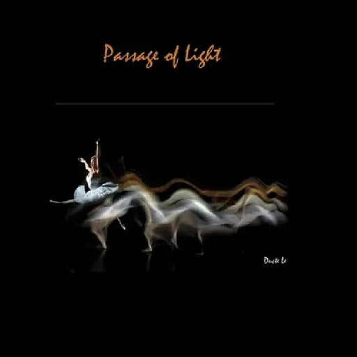 Passage of Light: Volume 1 by Ducte Le