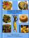 Cuisine On The Nile Vegetarian Cookbook: Vegetarian Meal Favorites by Aisha Lumumba