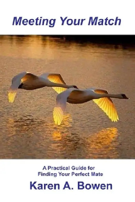 Meeting Your Match: A Pratical Guide for Finding Your Perfect Mate by Karen a. Bowen