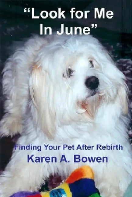 Look For Me in June: Finding Your Pet After Rebirth by Karen a. Bowen