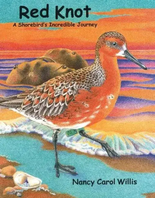 Red Knot: A Shorebird's Incredible Journey by Nancy Carol Willis